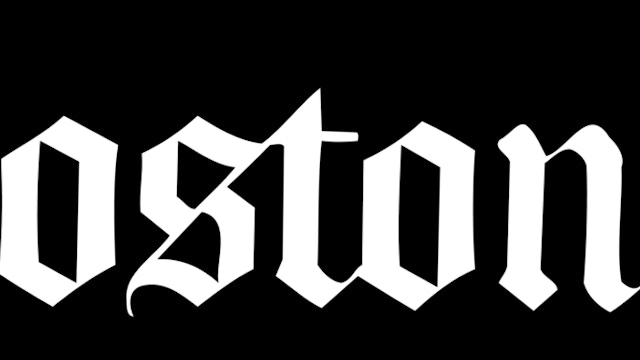 Chewy Com Bounds Into Boston Volition