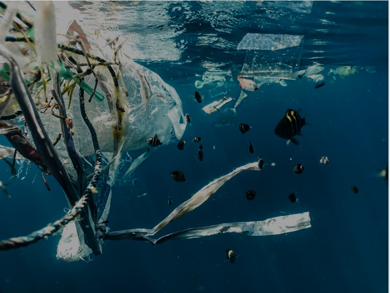 Volition Capital - Investing in Sustainability