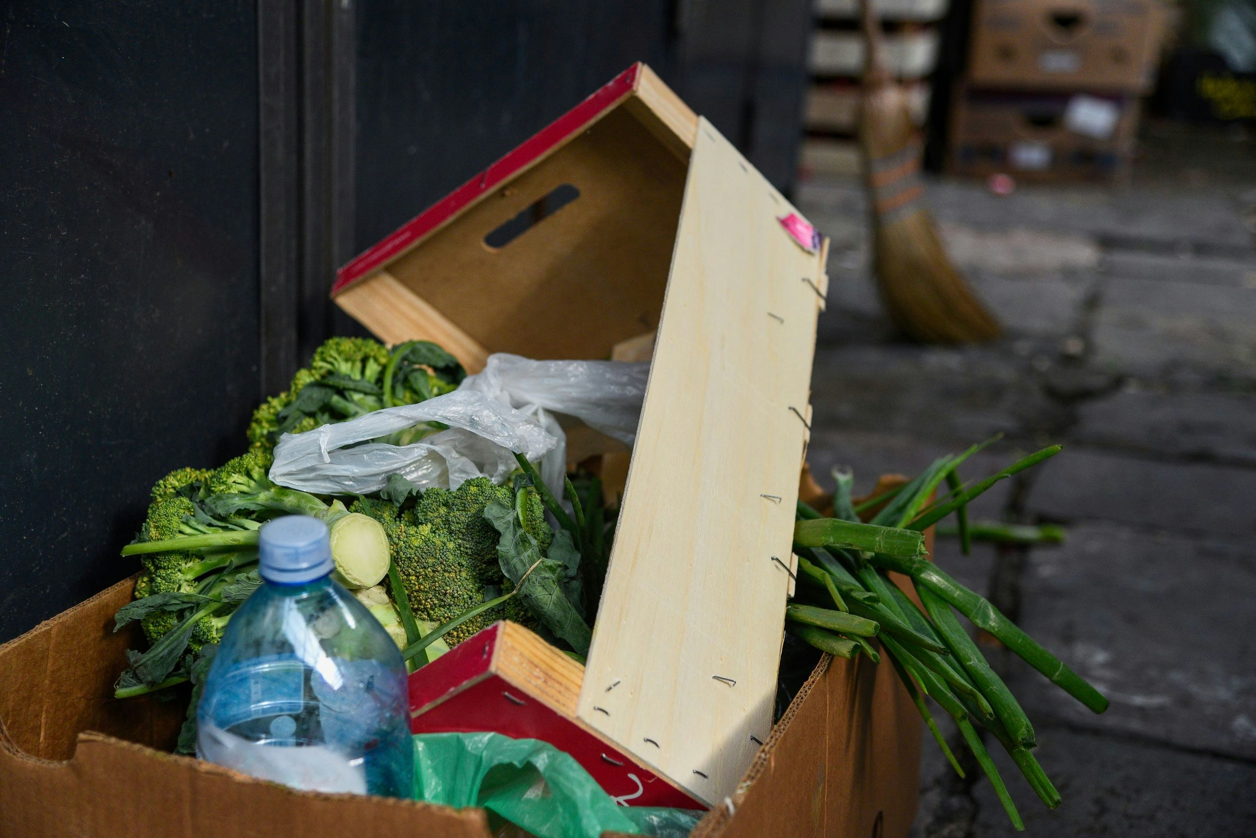 More than we can chew: Solving the food waste crisis